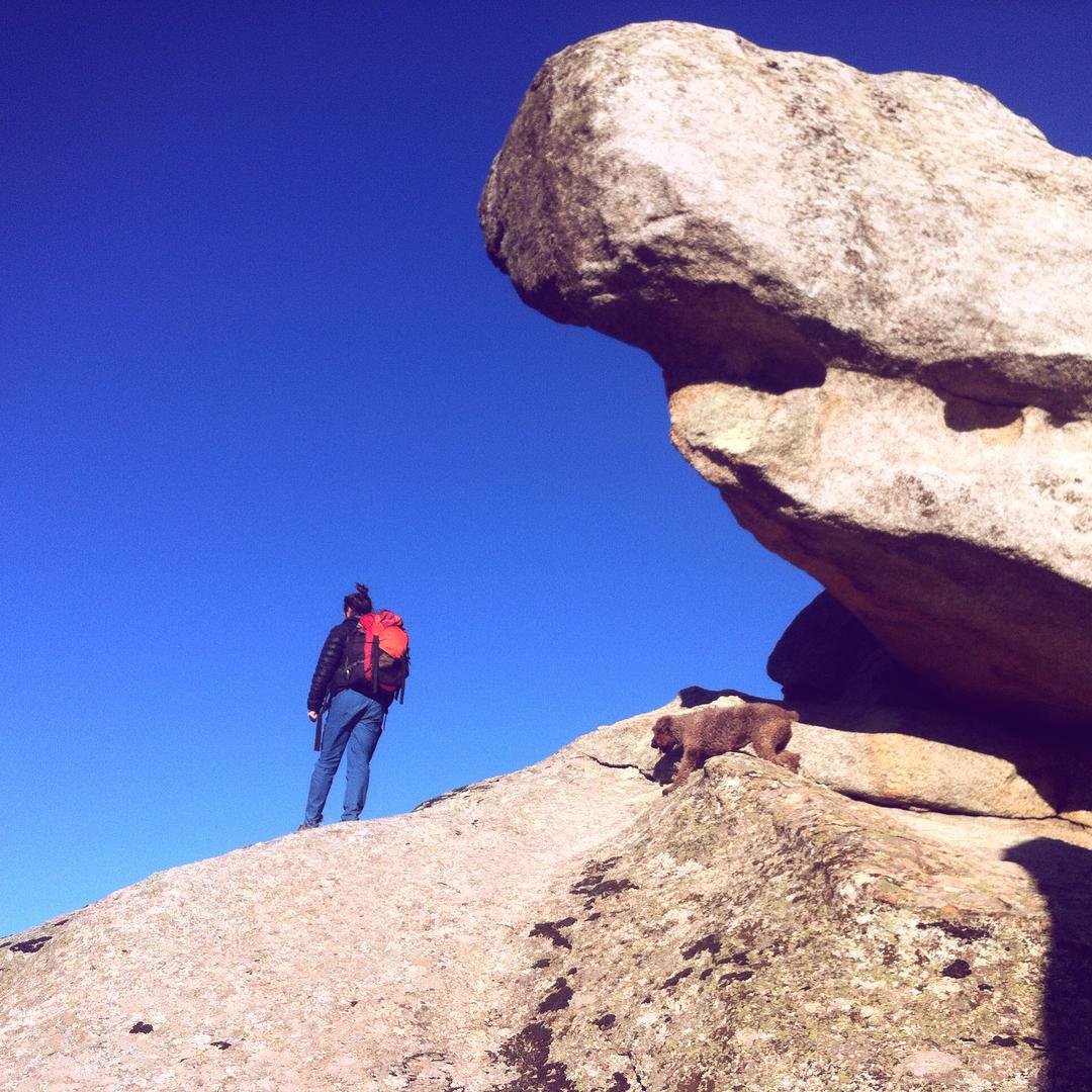 Con este nuestro clima es inevitable salir a los campinos. Hoy hemos tirado a las vias de Torrelodones, que buen rincón para trepearrrr. Manu @highlife_22_ en el area :)