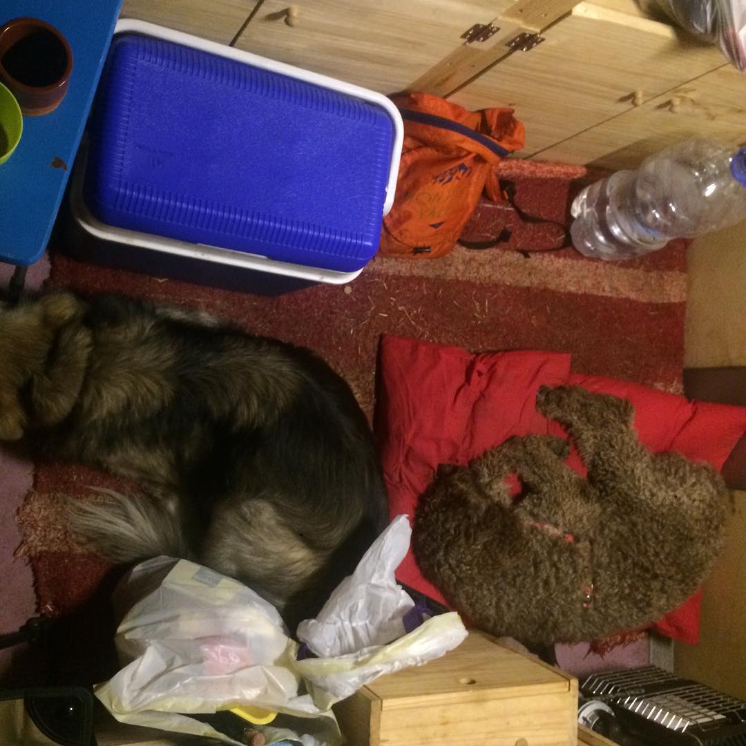 lo dan todo y a descansar! #vidaperra :)