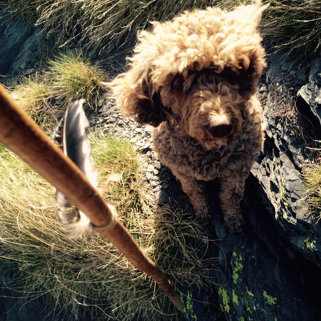 Charcuela de veraneo.