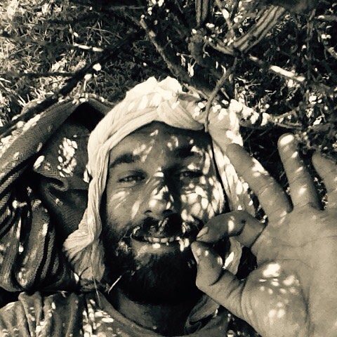 Saludos desde el puesto de siesta entre las escobas. Corre brisa fresca a ratos.