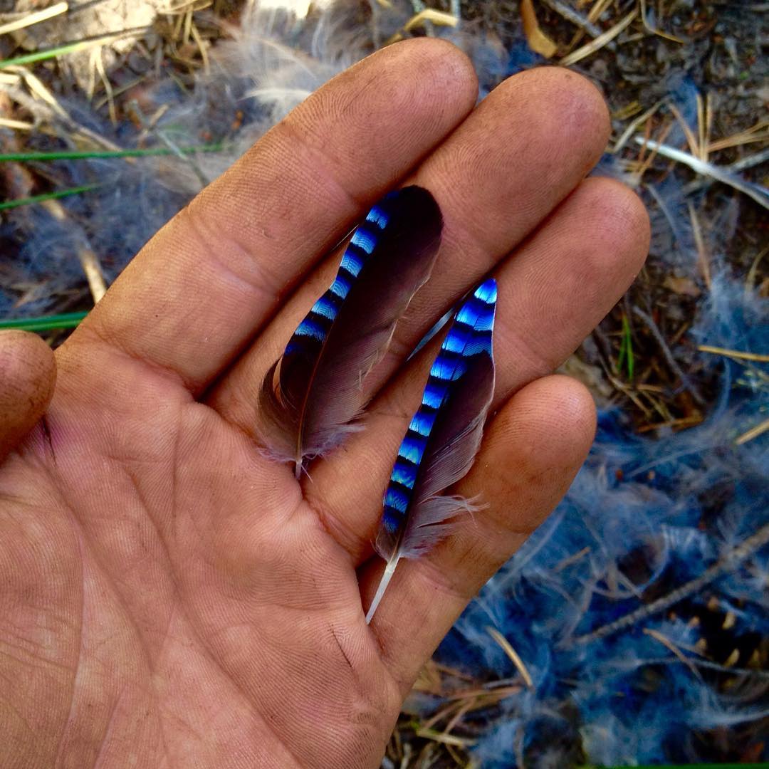Chispas, que azul grotesco