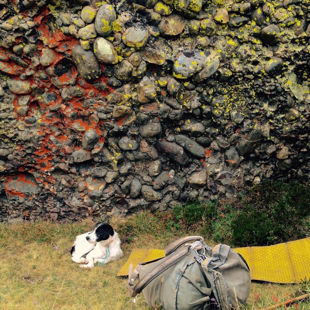 Grafffitti conglomerado