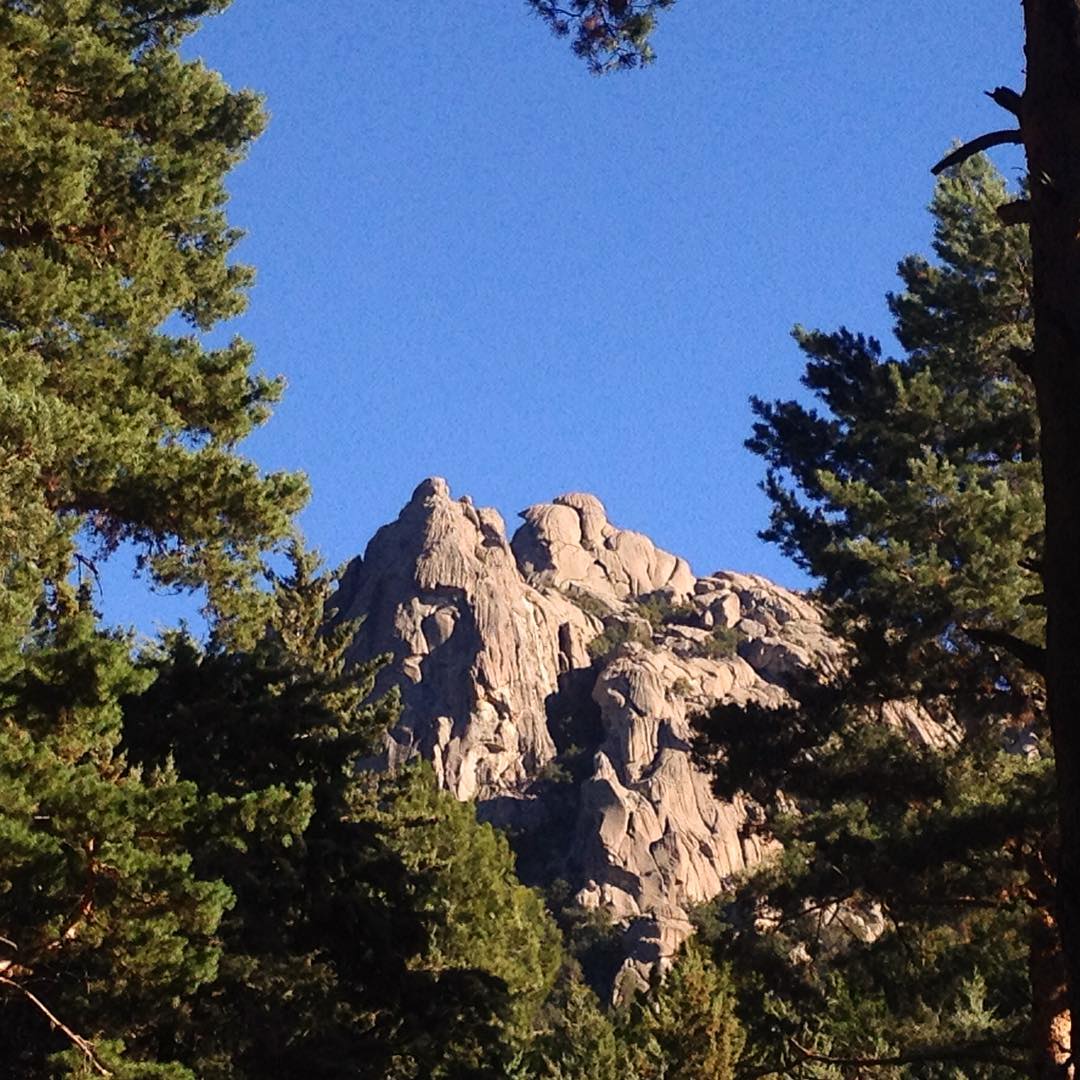 Lo cierto es que como en casa en ningún lado. Sus recovecos, aventura constante y gratitud hacen de La Pedriza mi lugar favorito.

Al fondo, el ilustre pájaro y los caballeros canalleros.