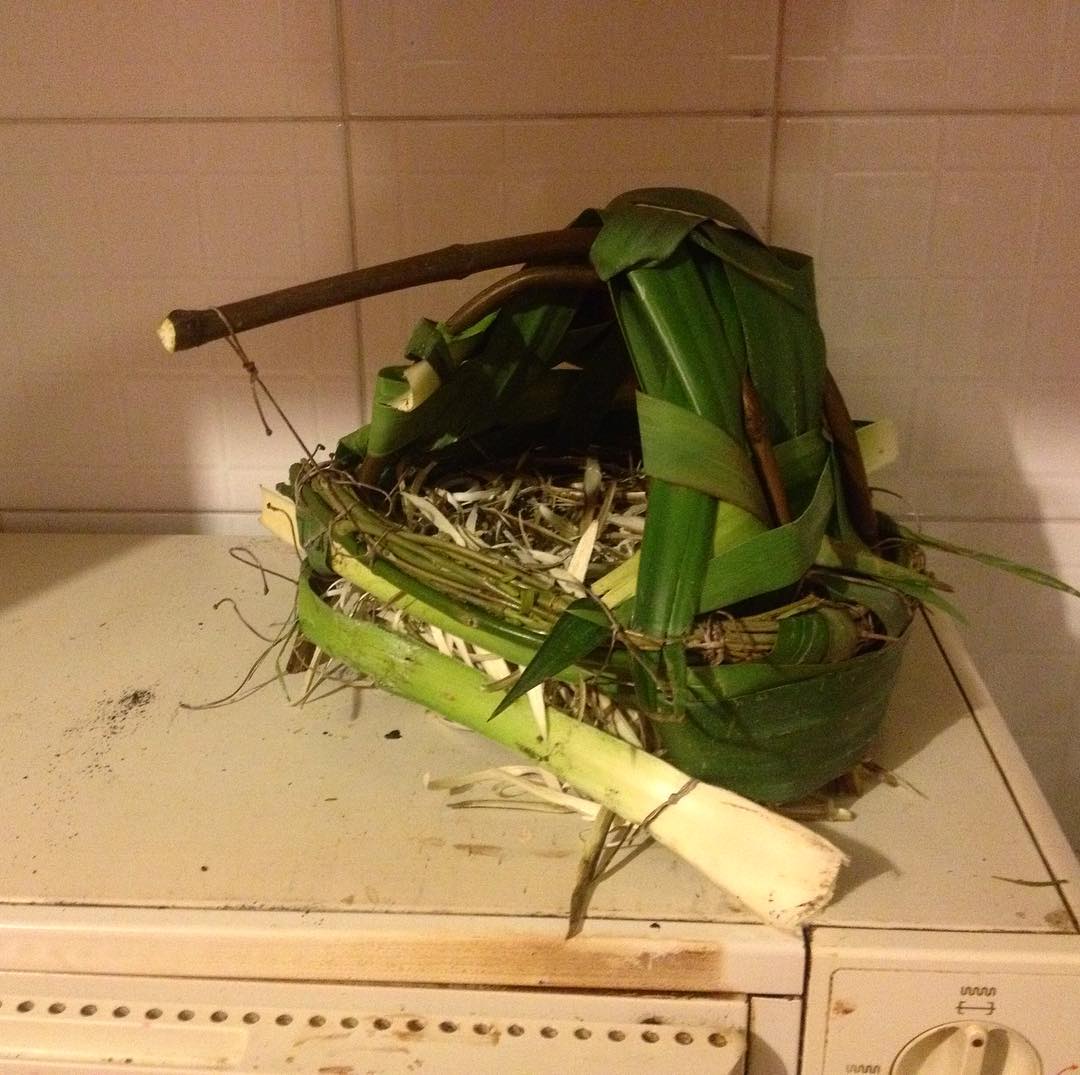 casa de paharo con pista de aterrizaje y nido de viruta esponjosa #cabañaYmaqueta

#posibleTallerPara10