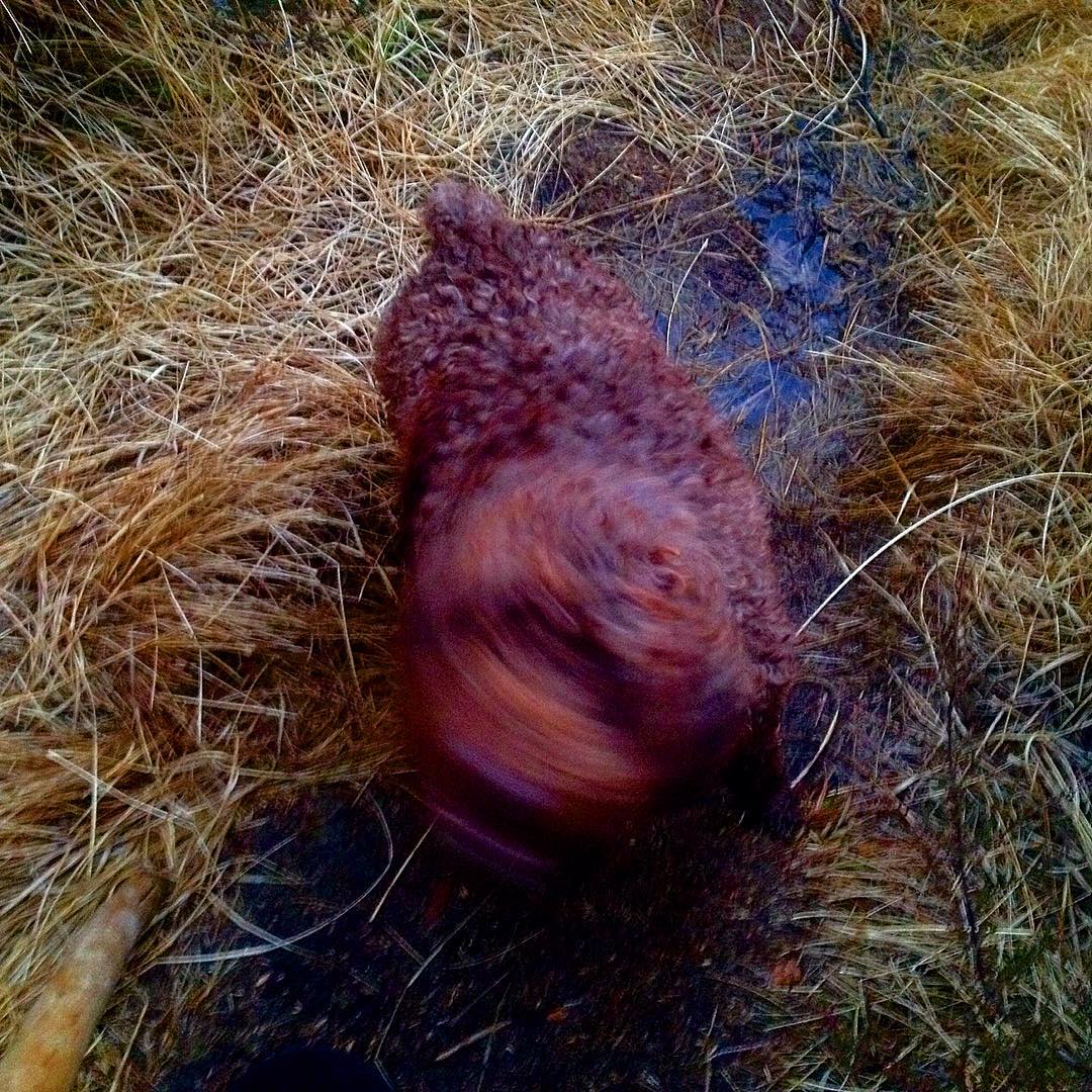 nos encanta el barro. hoy la pedri ha estado mu bonita