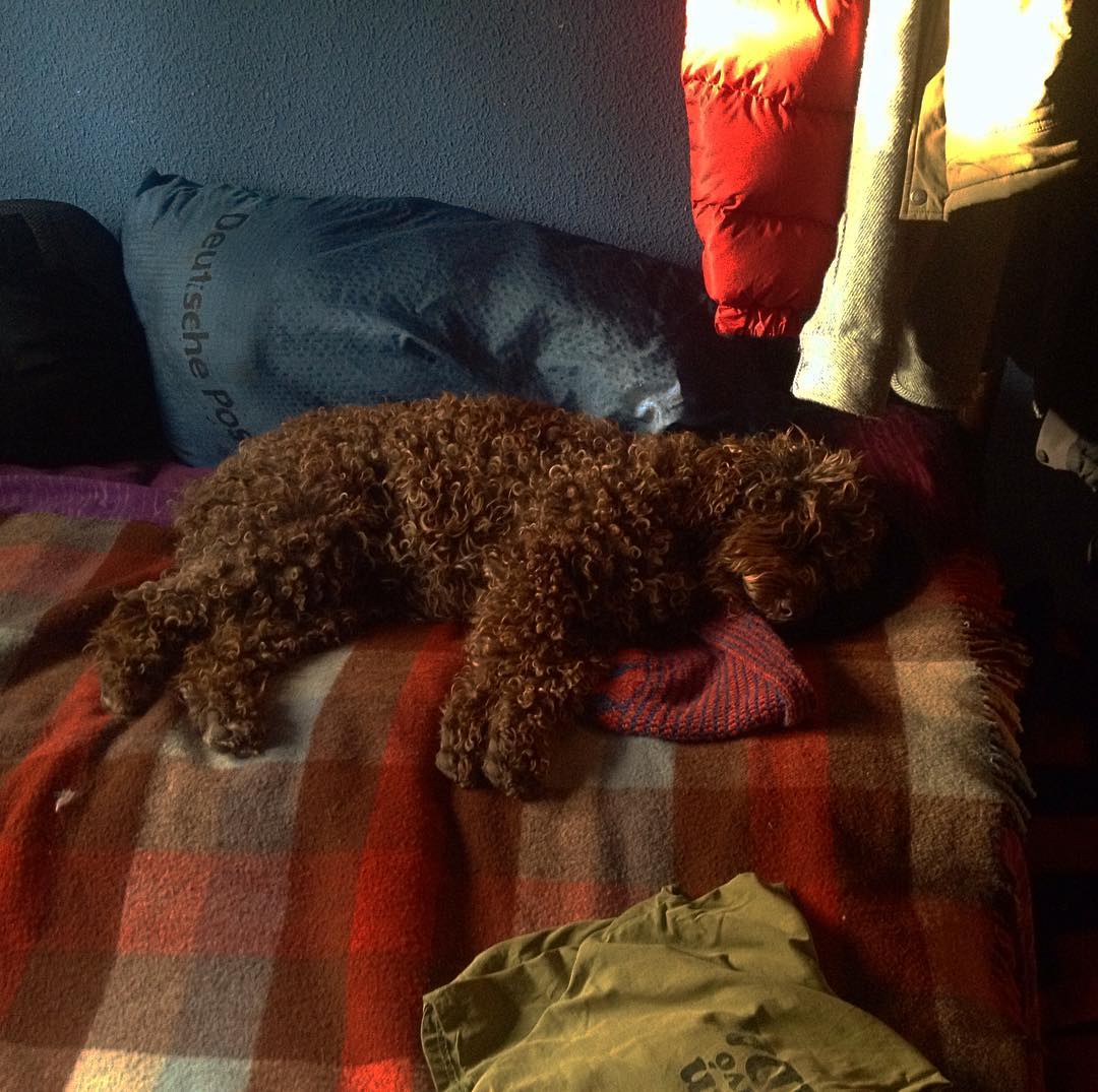 una vida tranquila asegura una siesta tranquila, y viceversa