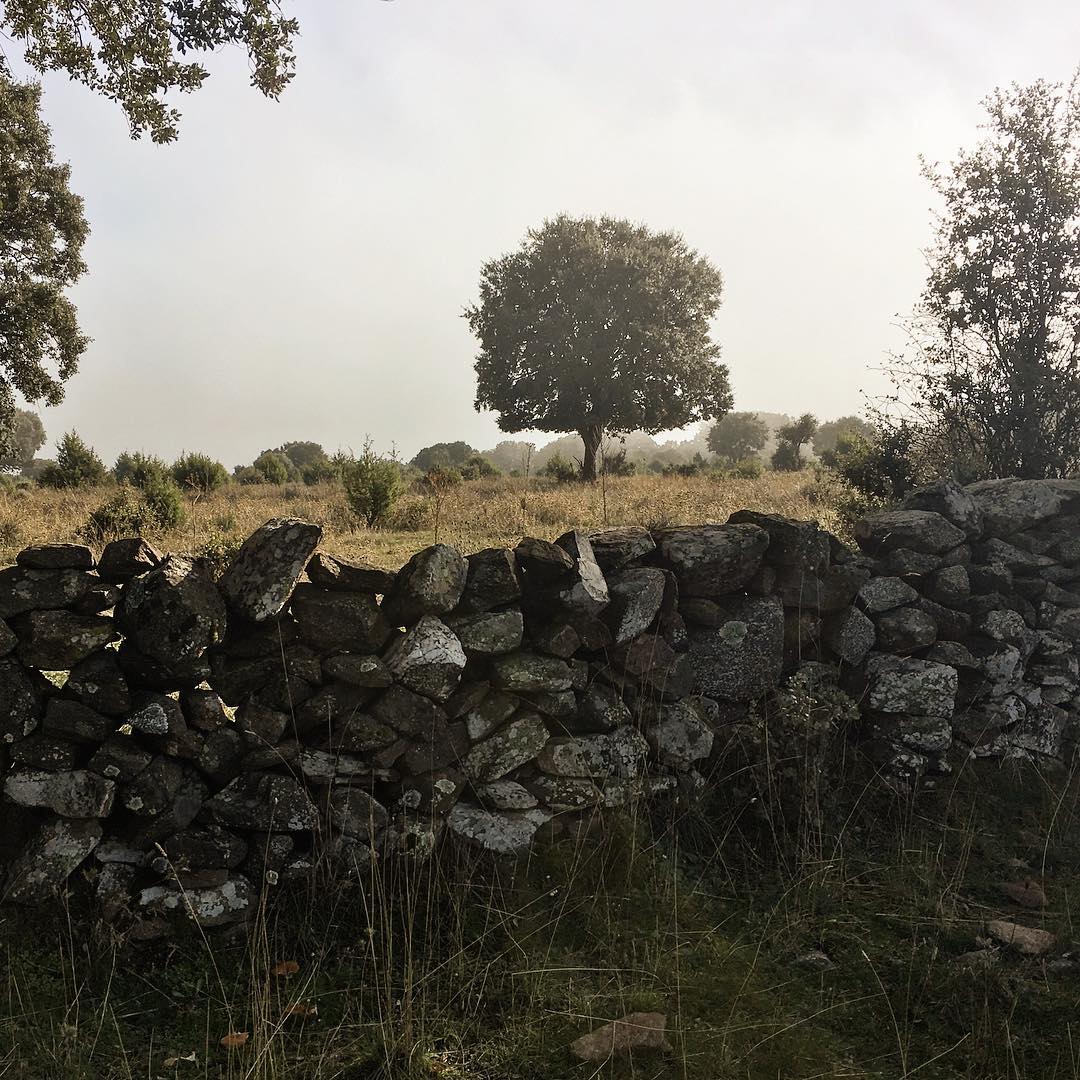 Somos cuerpo de bellota