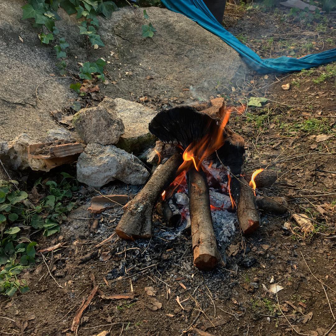 tarde de reposo, dijo el oso al raposo