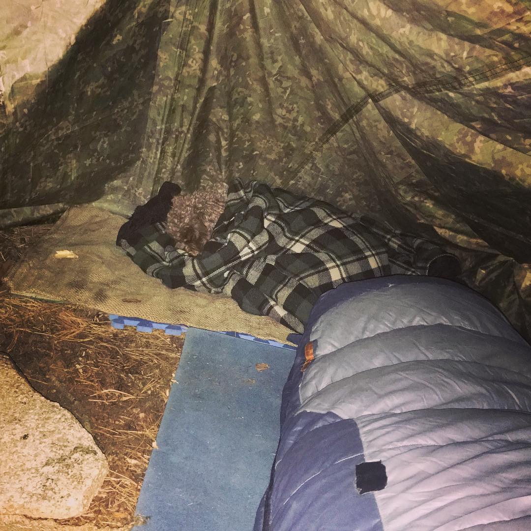 todas las noches hay estrellas fugaces