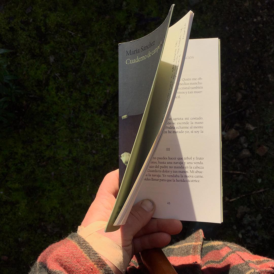 Hoy entrando en calor con la poetérrica de @mmercromina al lento paso del careo.

Cuaderno de Campo (@labellavarsovia, 2017)