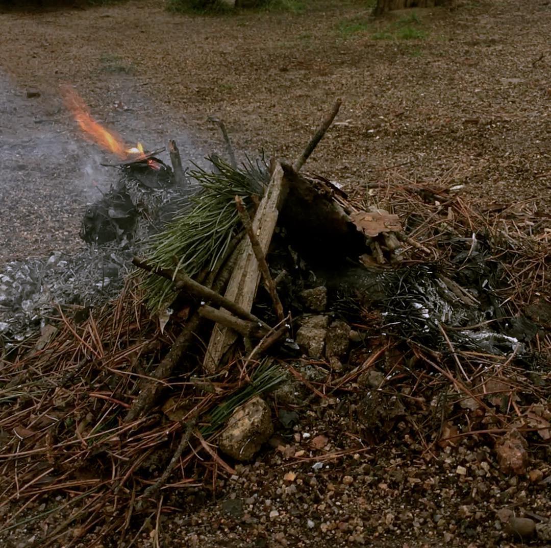 La tribu de los Firraspines trabajan en túneles subterraneos. Estas entradas y salidas en la pinocha les permiten alimentar el fuego para sus altos hornos, en los cuales cuecen muy lentamente el popular pan de piñones de la región. Si tienes la oportunidad entra y pregunta para probarlo, a cambio ellos te pedirán una onza de mantequilla, muy apreciada por allá abajo. #cabañaYmaqueta