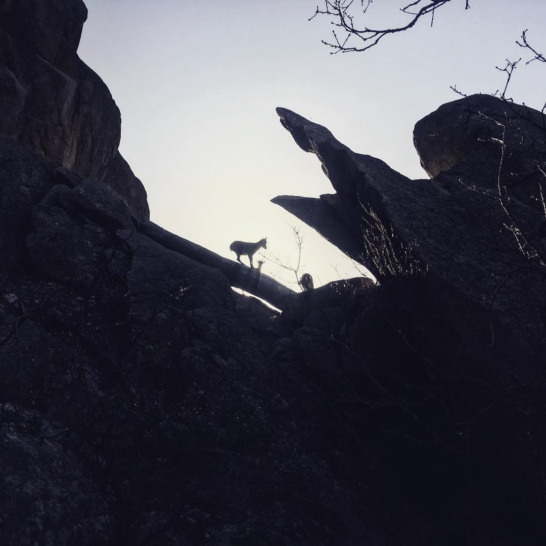 vida cabrera. recordaré el #28doce8 como aquel en el que hice cumbre en el pájaro, junto a master @elgatoconmota_longboards