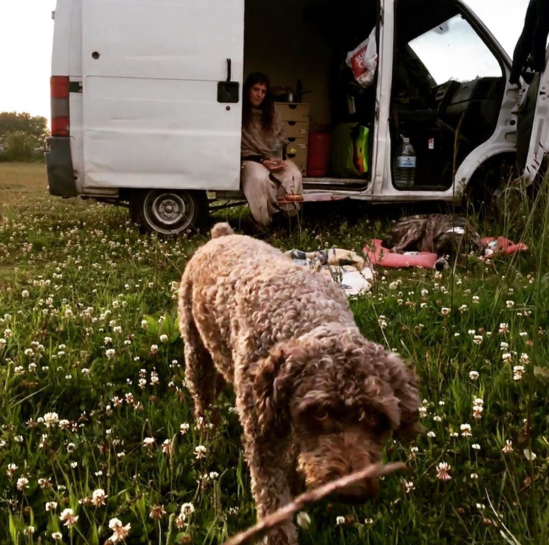 zuzu, charqui y martin :)